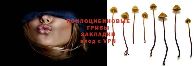 тгк Пролетарск