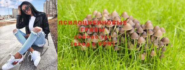 тгк Пролетарск