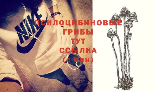 не бодяженный Приозерск