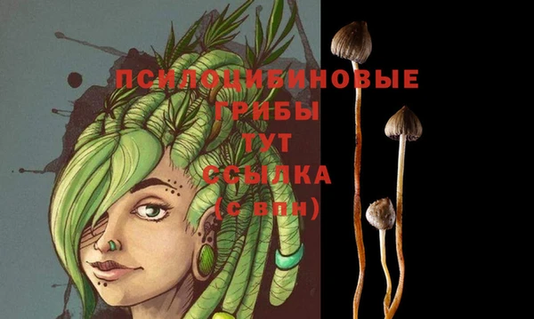 стафф Протвино