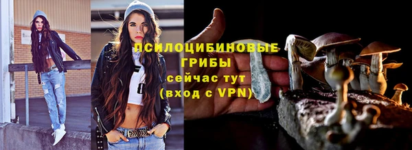 не бодяженный Приозерск