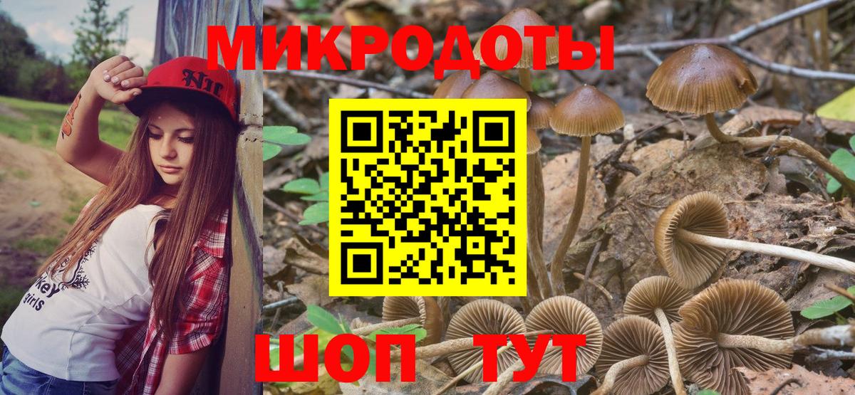 Советск  Псилоцибиновые грибы мухоморы  Галлюциногенные грибы Psilocybine cubensis  Вход с VPN 